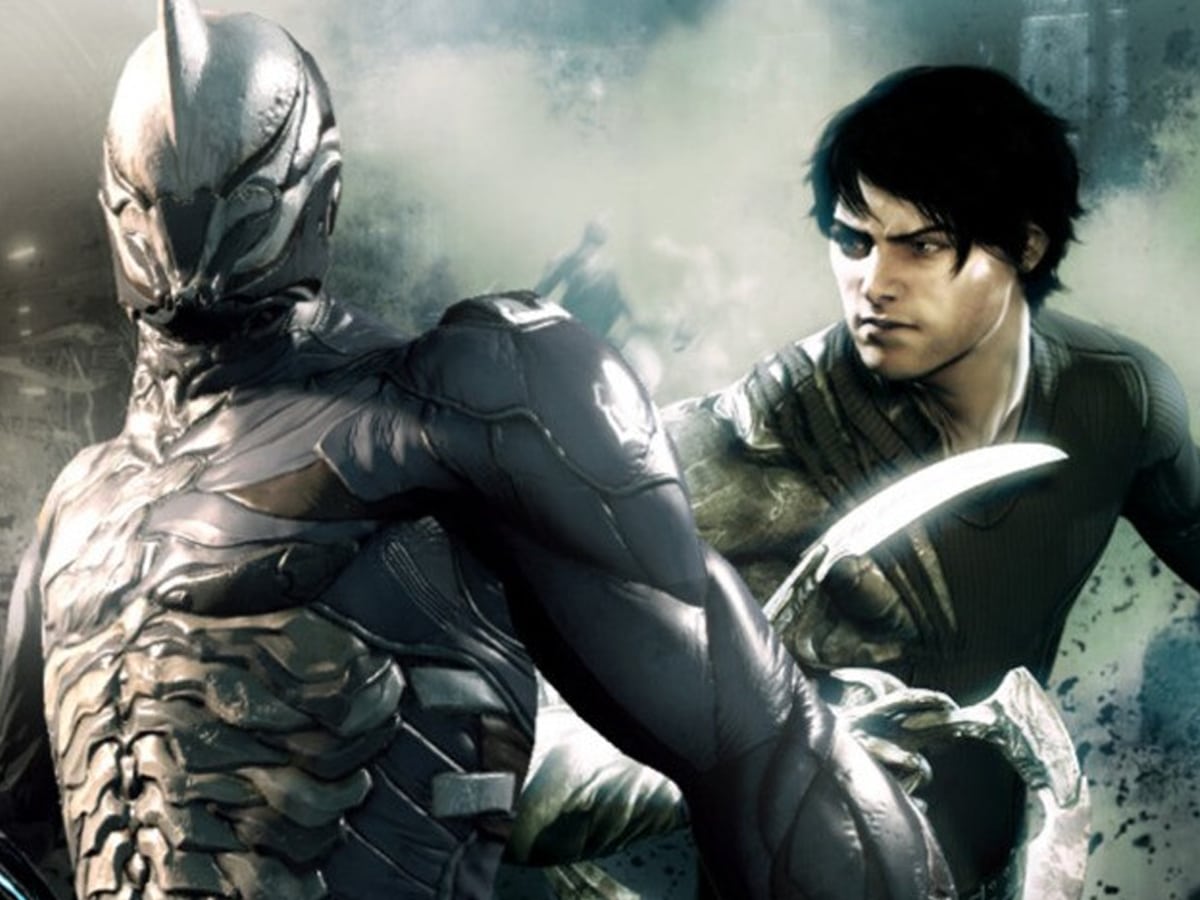 Dark Sector